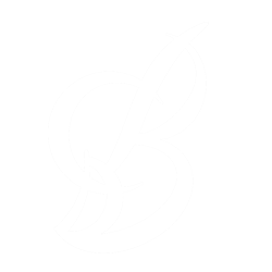 petit-cypres-du-bois-menuiserie-ebenisterie-bois-blois-blanc